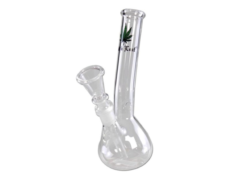 Blackleaf malé bongo 18cm