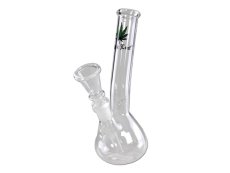 Blackleaf malé bongo 18cm